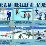 Фотодокумент 