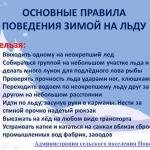 Фотодокумент 