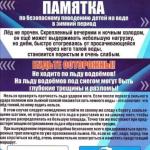 Фотодокумент 